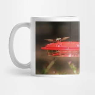 Hummingbirds At Feeder Mug